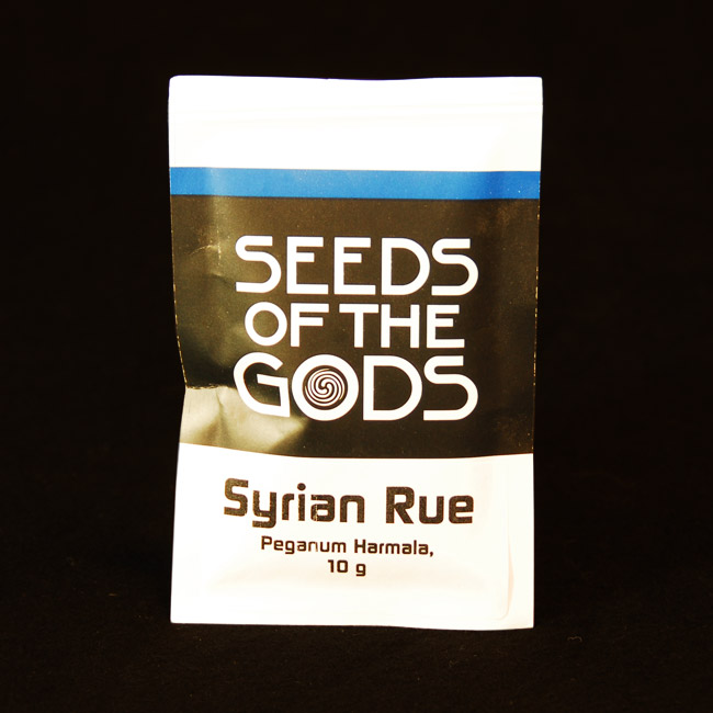 Syrian Rue