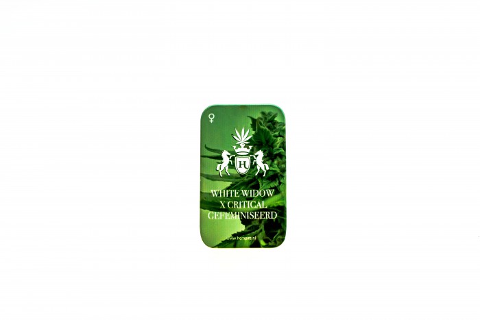 Hempire White Widow x Critical - Afbeelding 2