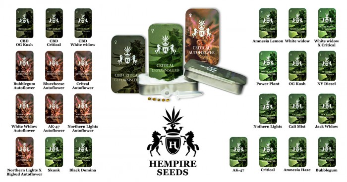 Hempire White Widow - Afbeelding 3