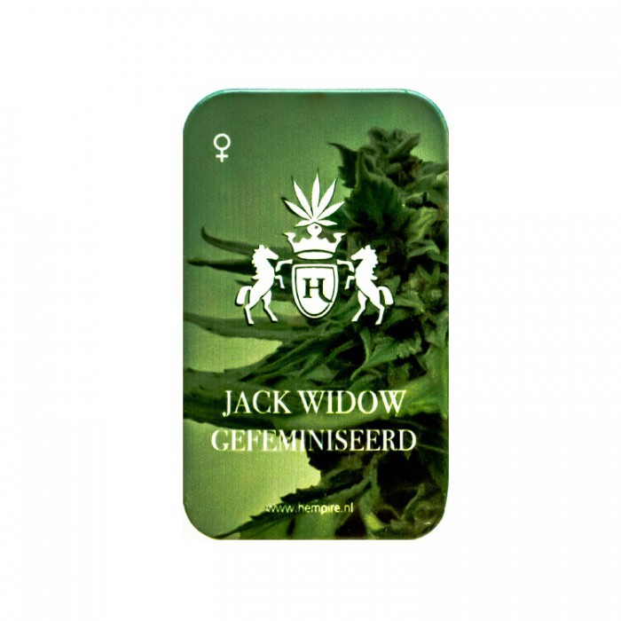 Jack Widow - Afbeelding 2