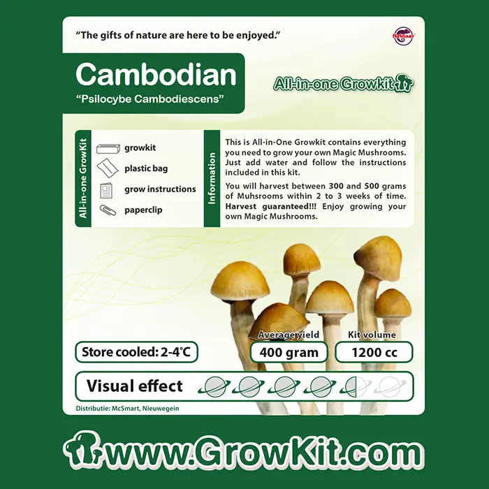 Cambodjaanse Paddenstoelen Growkit