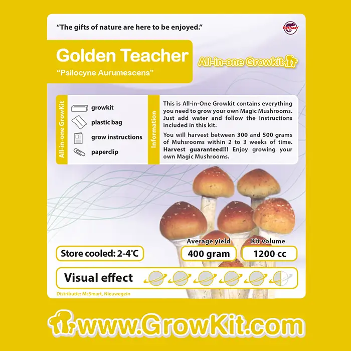 Golden Teacher Paddenstoelen Growkit