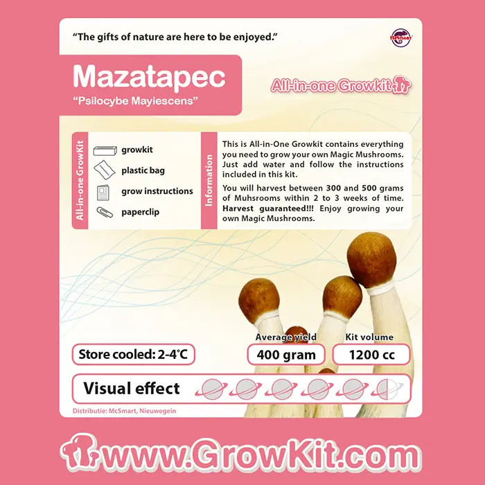 Mazapatec Paddenstoelen Growkit