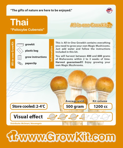 Thai_paddenstoel_growkik_alteredstate