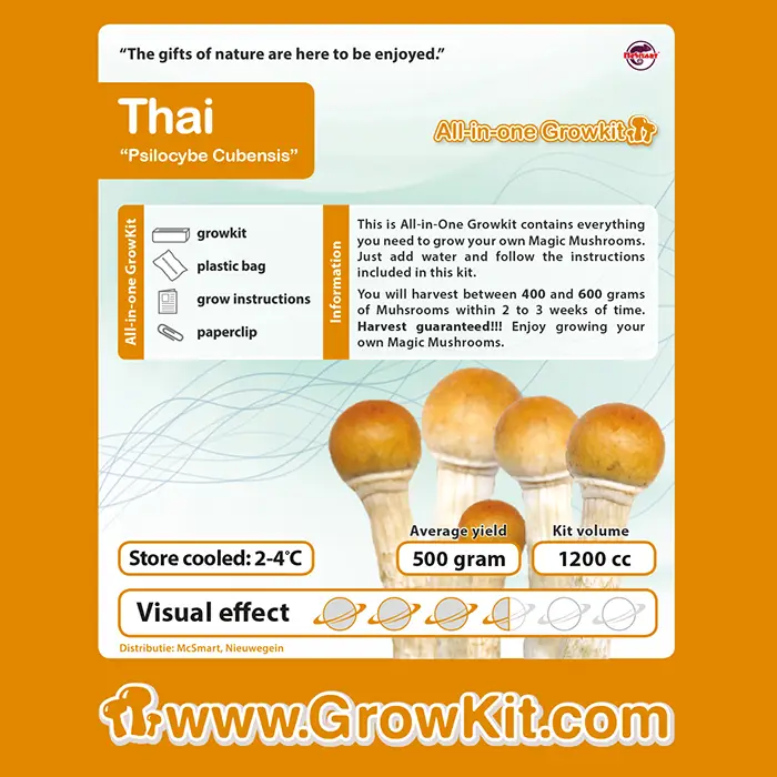 Thaise Paddenstoelen Growkit